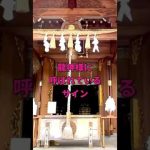 ※1分見るだけで怖いくらい金運上昇する⚠️龍神様に呼ばれたあなたに奇跡が起こる最強パワースポット【丹生川上神社上社】遠隔参拝 #shorts