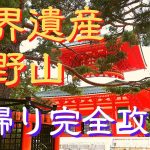 【高野山観光】日帰りにおすすめのスポットを完全攻略(奥の院~金剛峯寺~壇上伽藍を効率良く網羅)