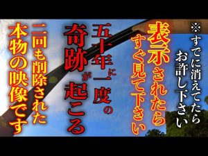 今日中に見て下さい!見逃すと二度と表示されません。1分以内に見ると2024年に大幸福の波がやってきます。熊野本宮大社大斎原遠隔参拝