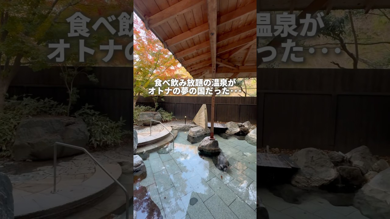 食べ飲み放題の温泉宿が夢の国だった…#youtubeshorts
